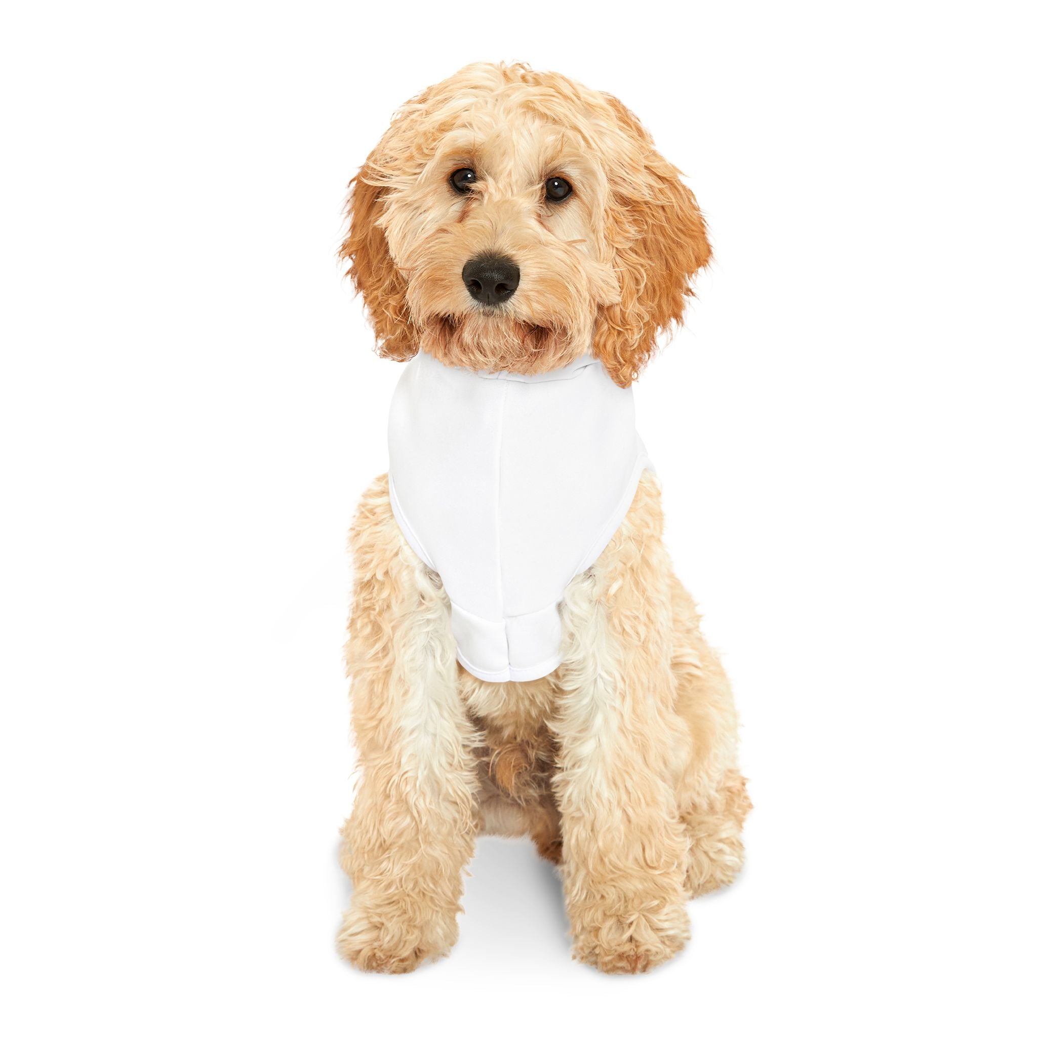 Patriotic PR Pet Hoodie — Puerto Rico Flag Dog & Cat Hoodie