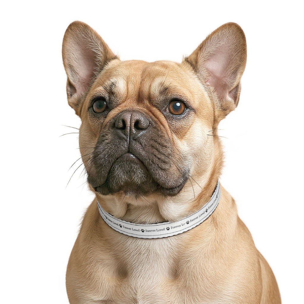 Forever Loved Dog Collar – Emotional Reflective Pet Collar, All-Over Print Collar for Small Dogs & Puppies