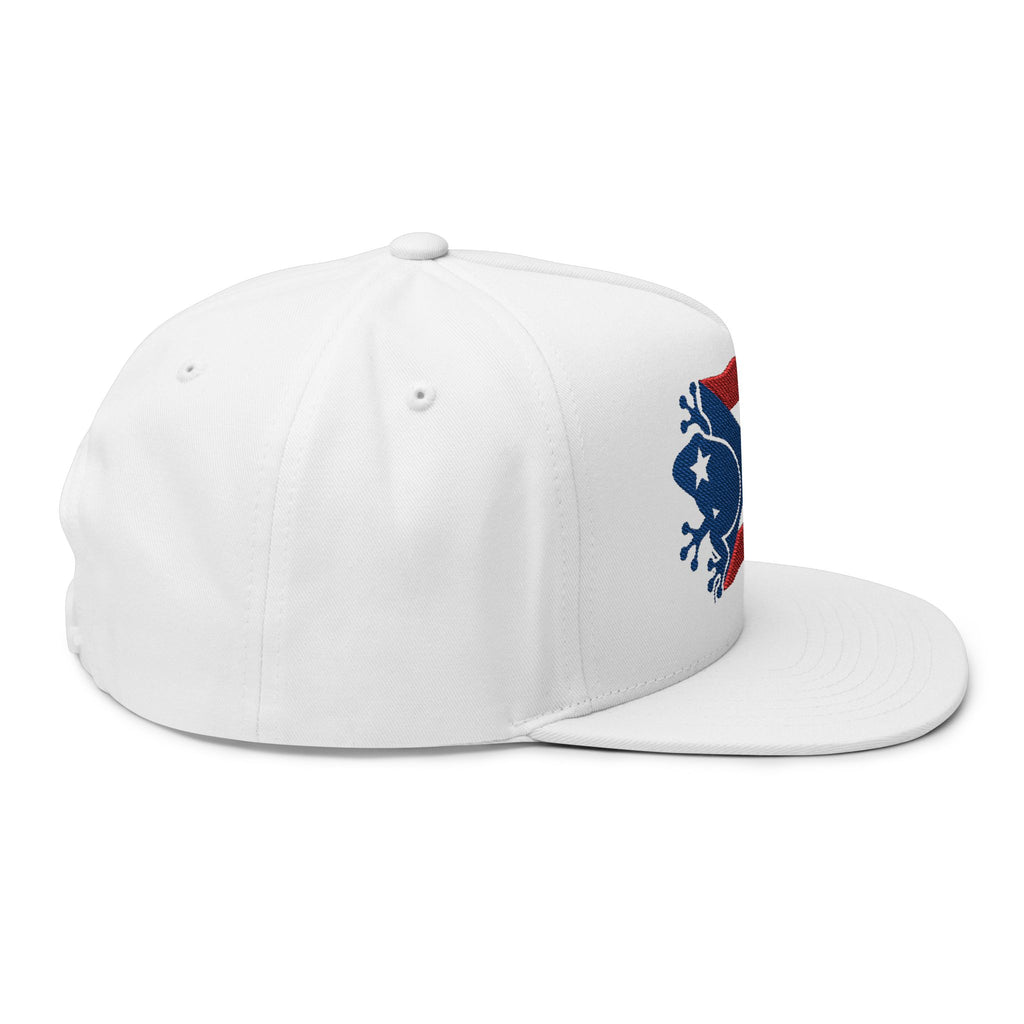 Flat Bill Cap — Puerto Rico Frog Flag Embroidered Snapback