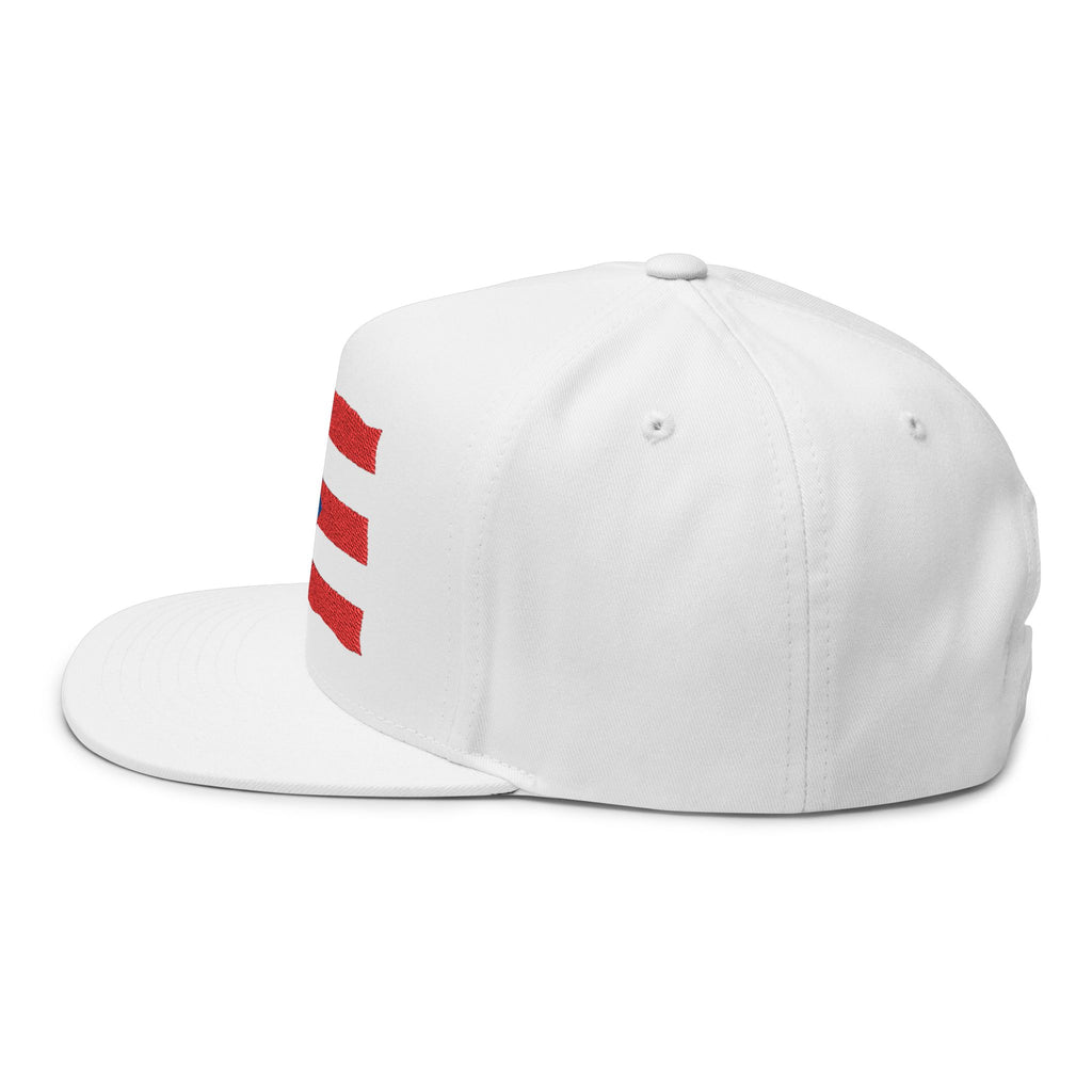 Flat Bill Cap — Puerto Rico Frog Flag Embroidered Snapback